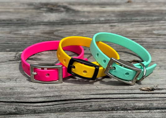 1/2" Standard Collar - Toy Breeds & Small Puppies